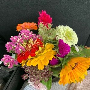 Meet your Posher, Isabelle